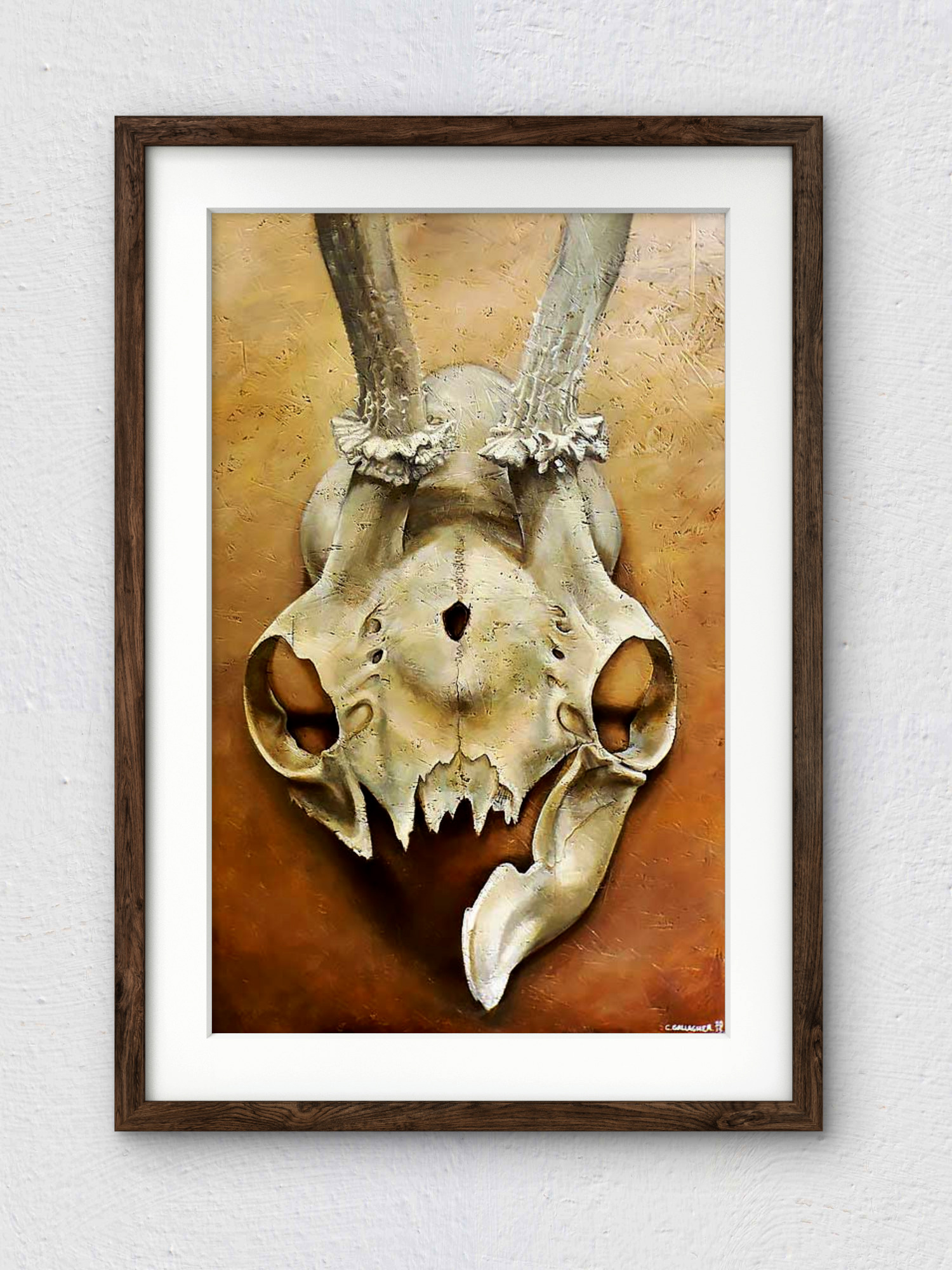 'Life Form' - Awe Inspiring Wild Deer Skull Art Print