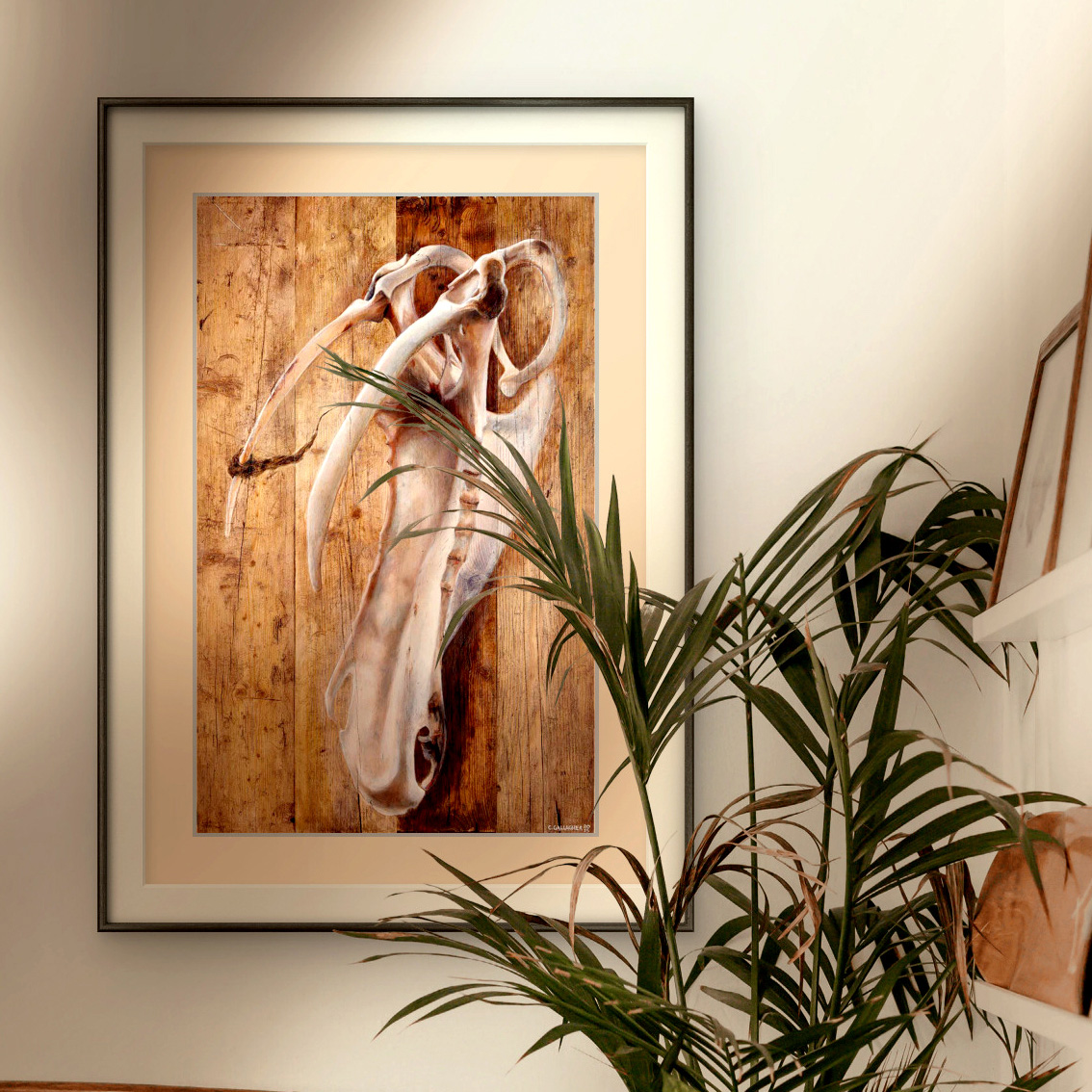 'Flown' - Rustic Skeletal Seabird Art Print