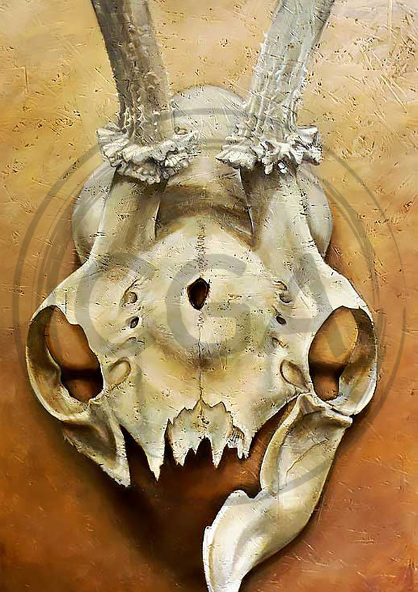 'Life Form' - Awe Inspiring Wild Deer Skull Art Print
