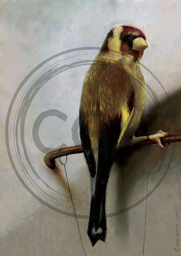 'The Goldfinch' - Modern Classical Goldfinch Bird Art Print