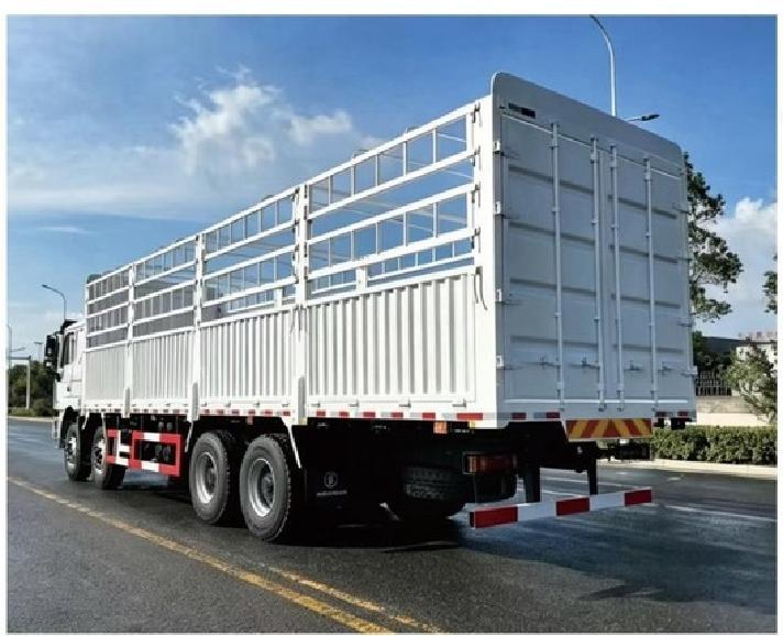 陕汽F3000 8x4 载货车 SHACMAN F3000 8x4 Cargo Truck