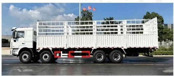 陕汽F3000 8x4 载货车 SHACMAN F3000 8x4 Cargo Truck