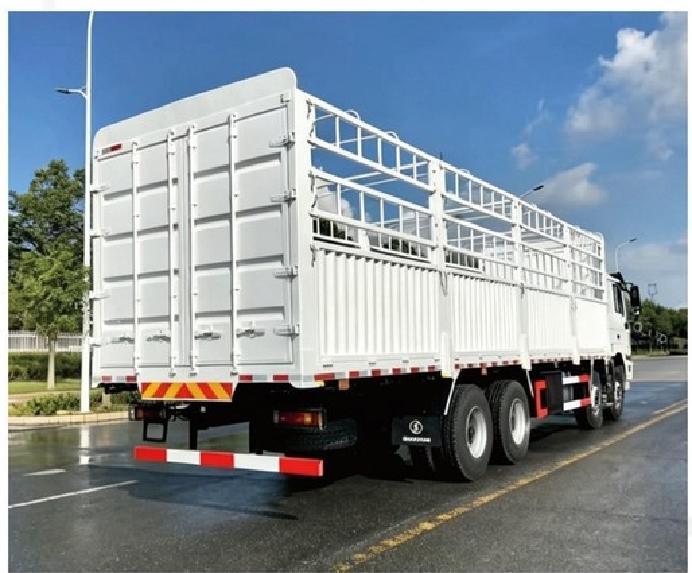 陕汽F3000 8x4 载货车 SHACMAN F3000 8x4 Cargo Truck