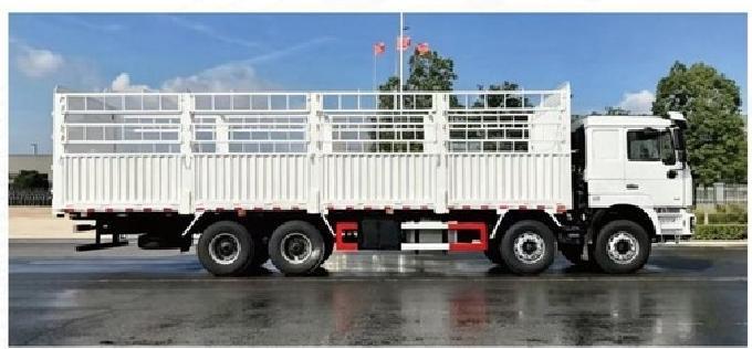 陕汽F3000 8x4 载货车 SHACMAN F3000 8x4 Cargo Truck