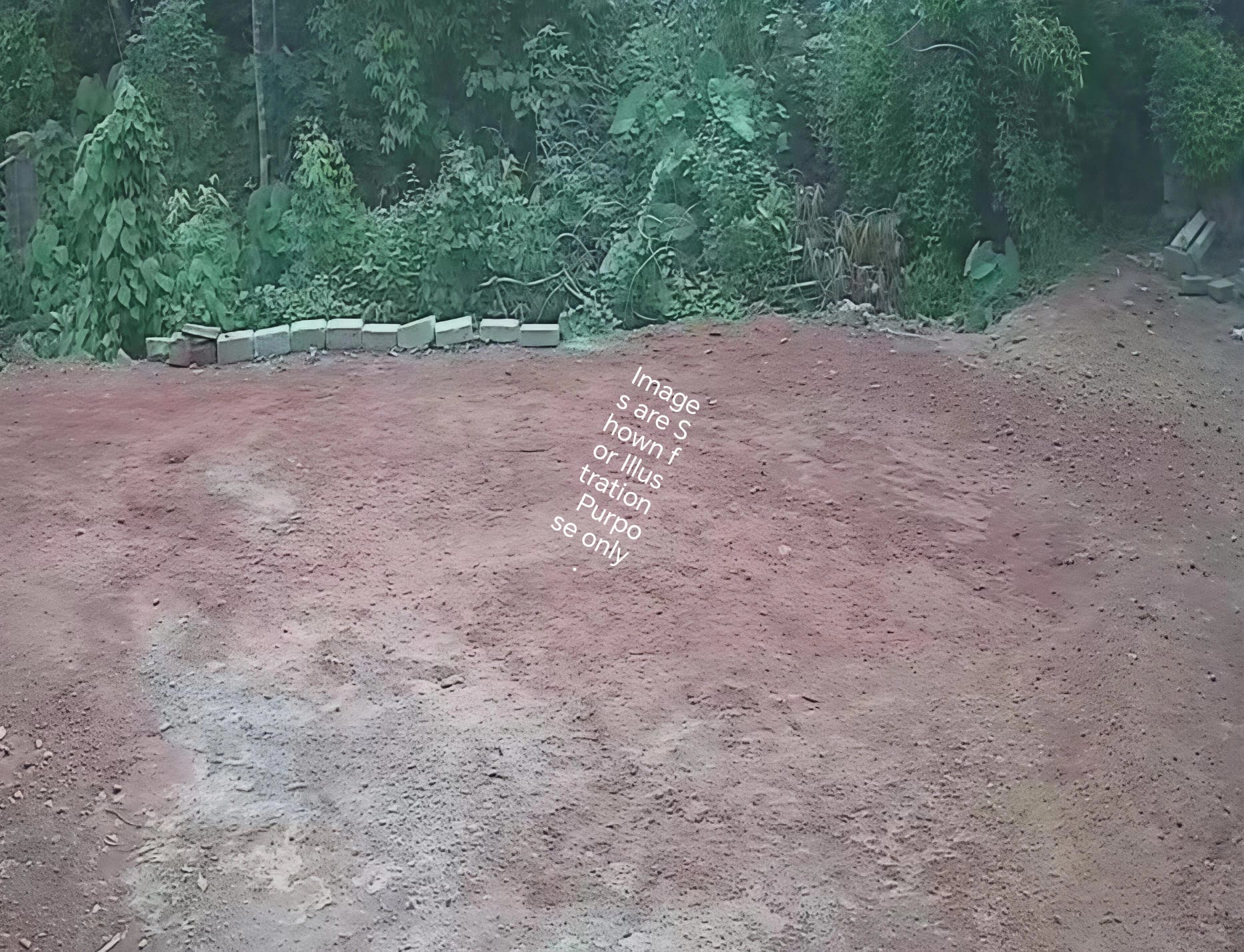 25Cents Land - Near Nagakannika -- Konchady Mangalore