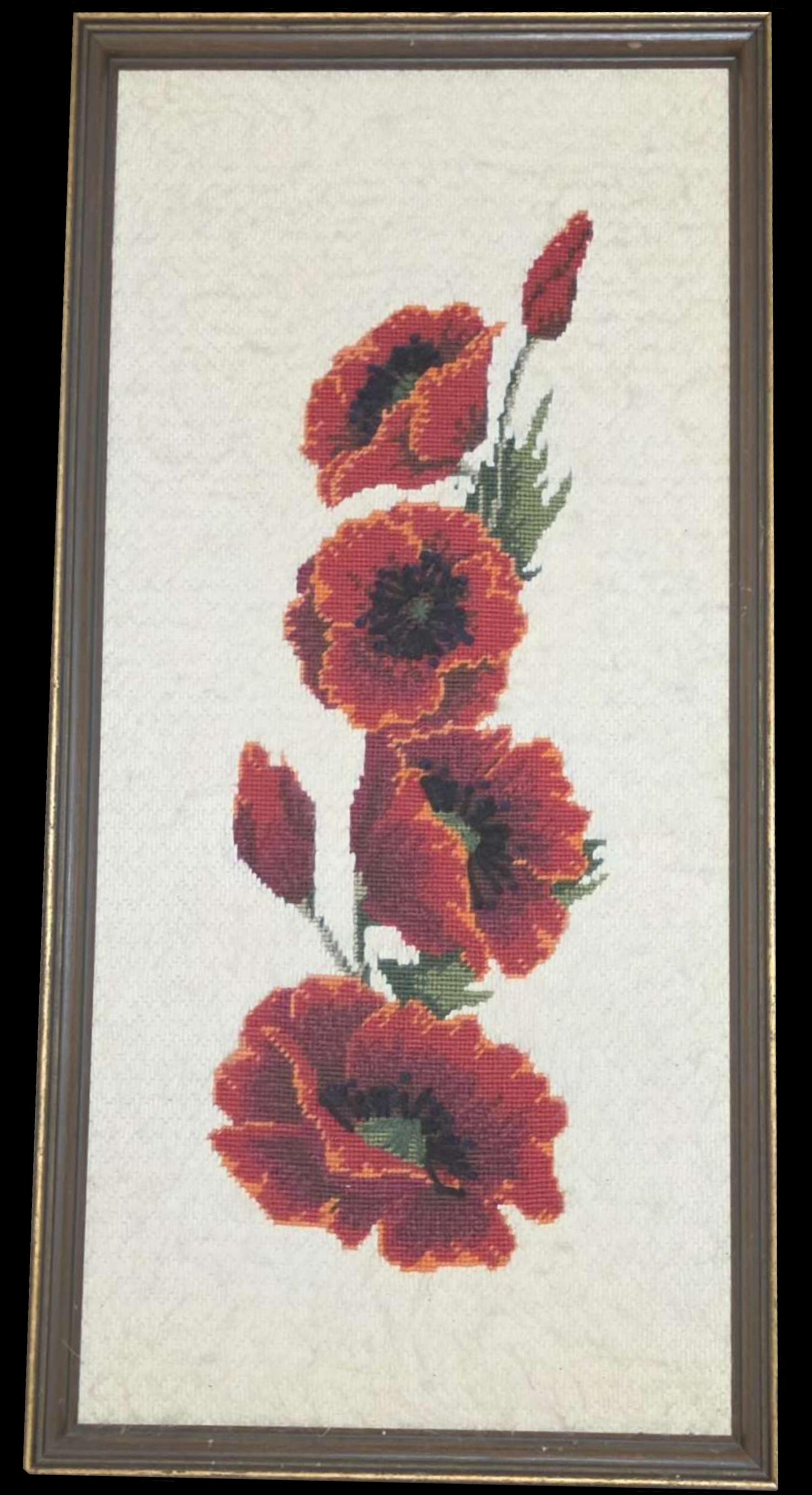 #009