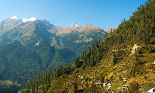 Spellbinding Manali & Shimla Vacay