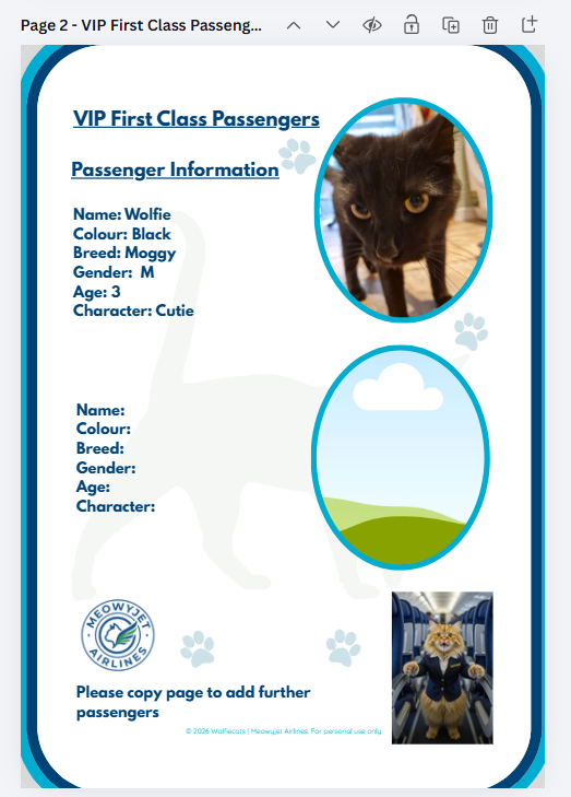 Meowyjet Airlines In-Flight Manual
