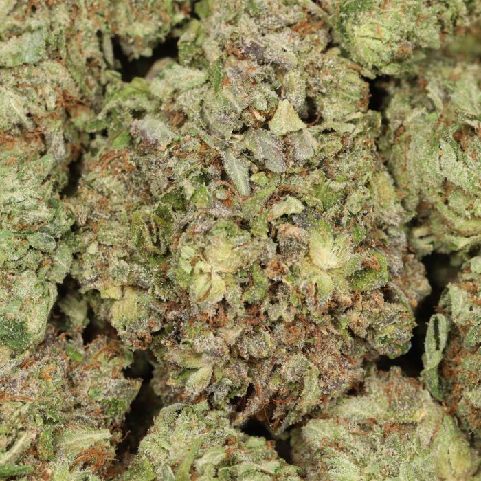 Durban Poison