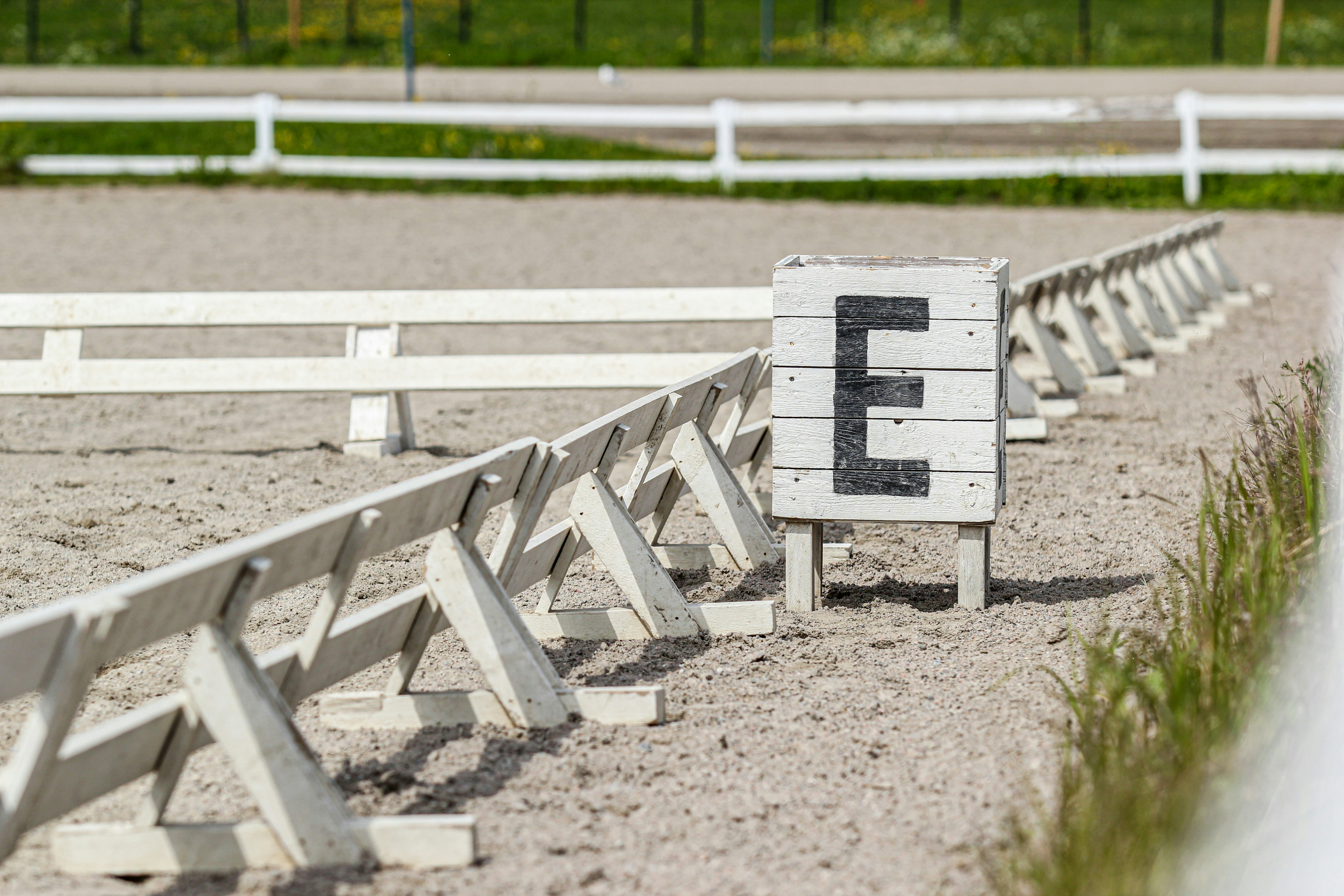 45 min Reitsimulator-Training