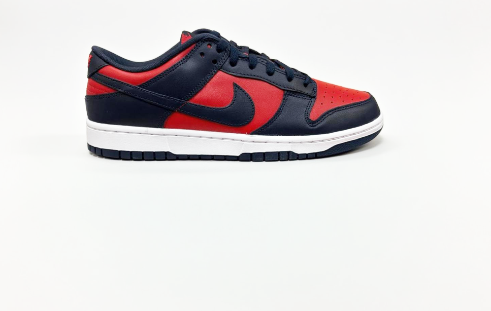 NIKE DUNK LOW RETRO