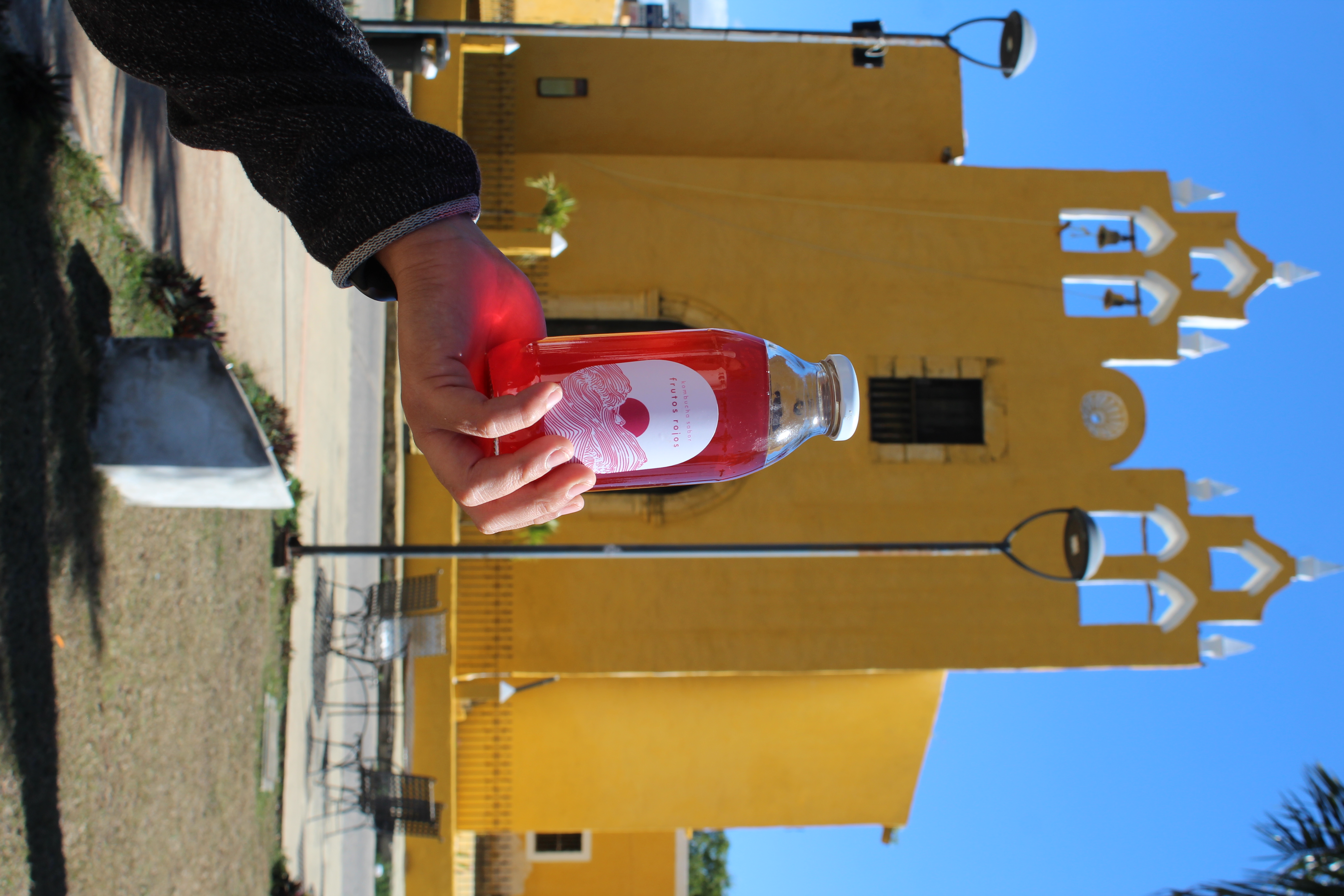Kombucha de Frutos Rojos