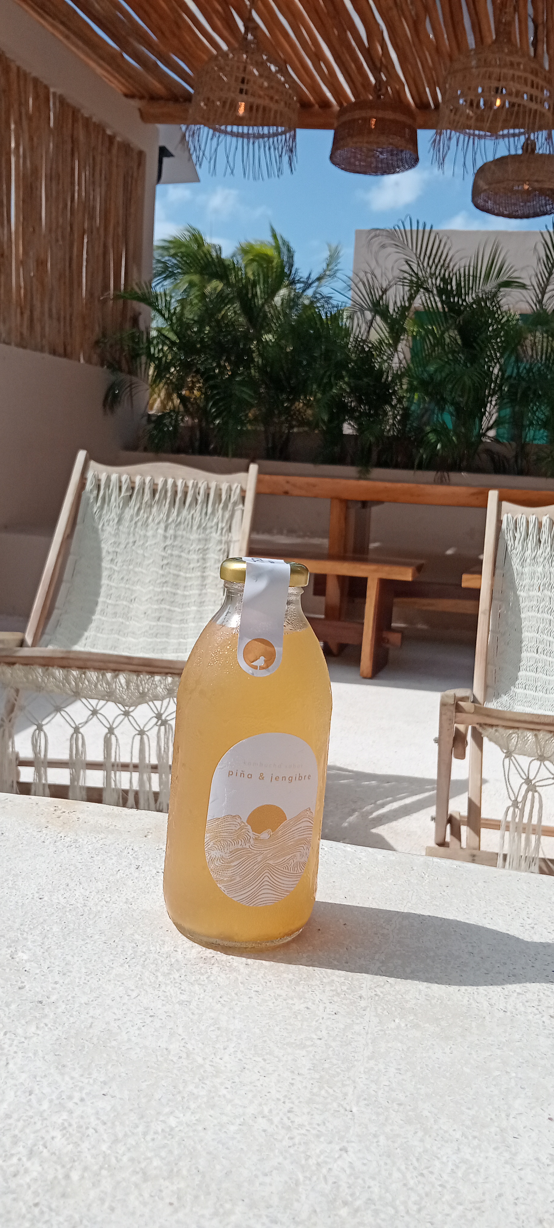 Kombucha Piña Jengibre