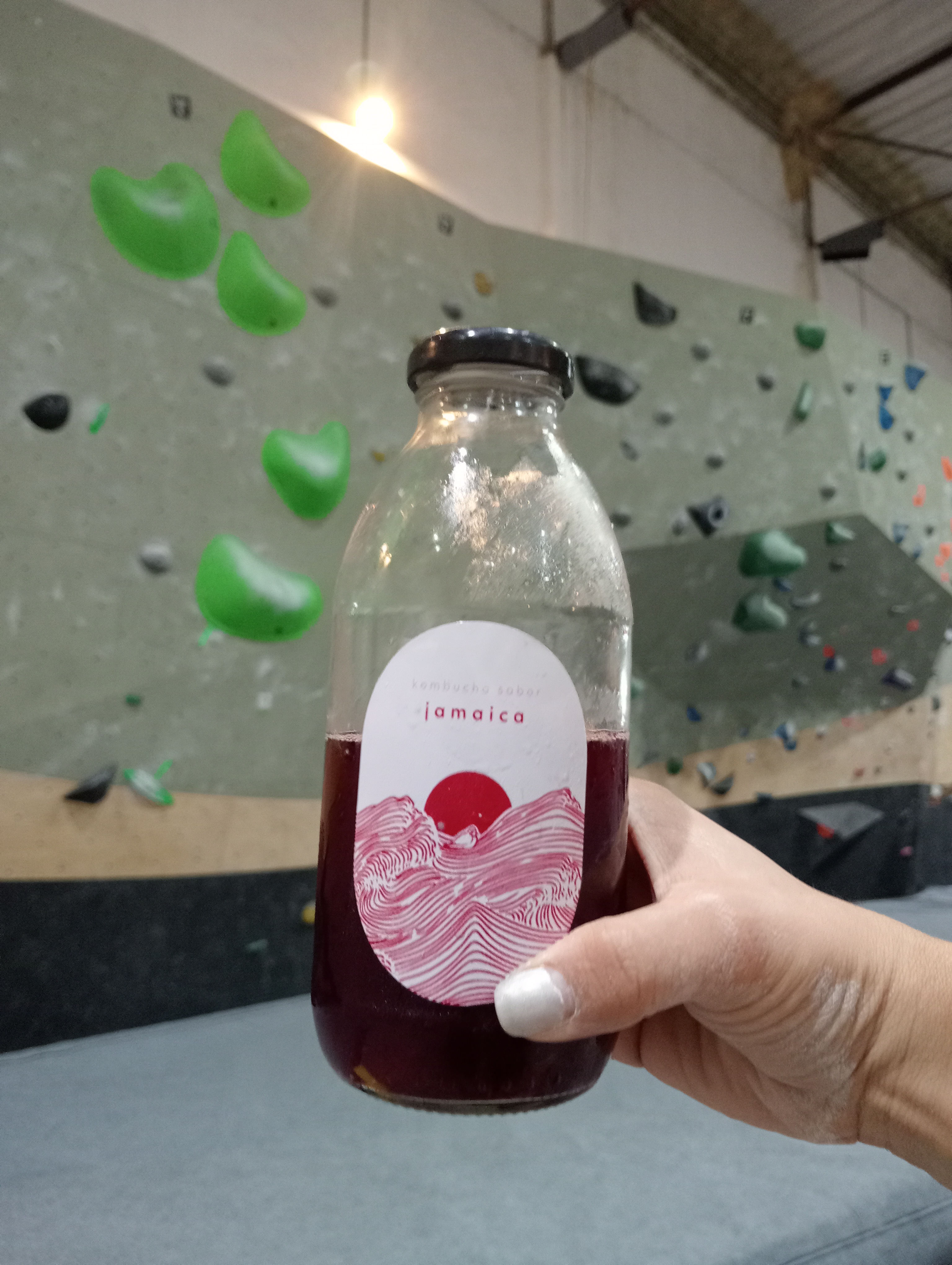 Kombucha Jamaica Cardamomo 
