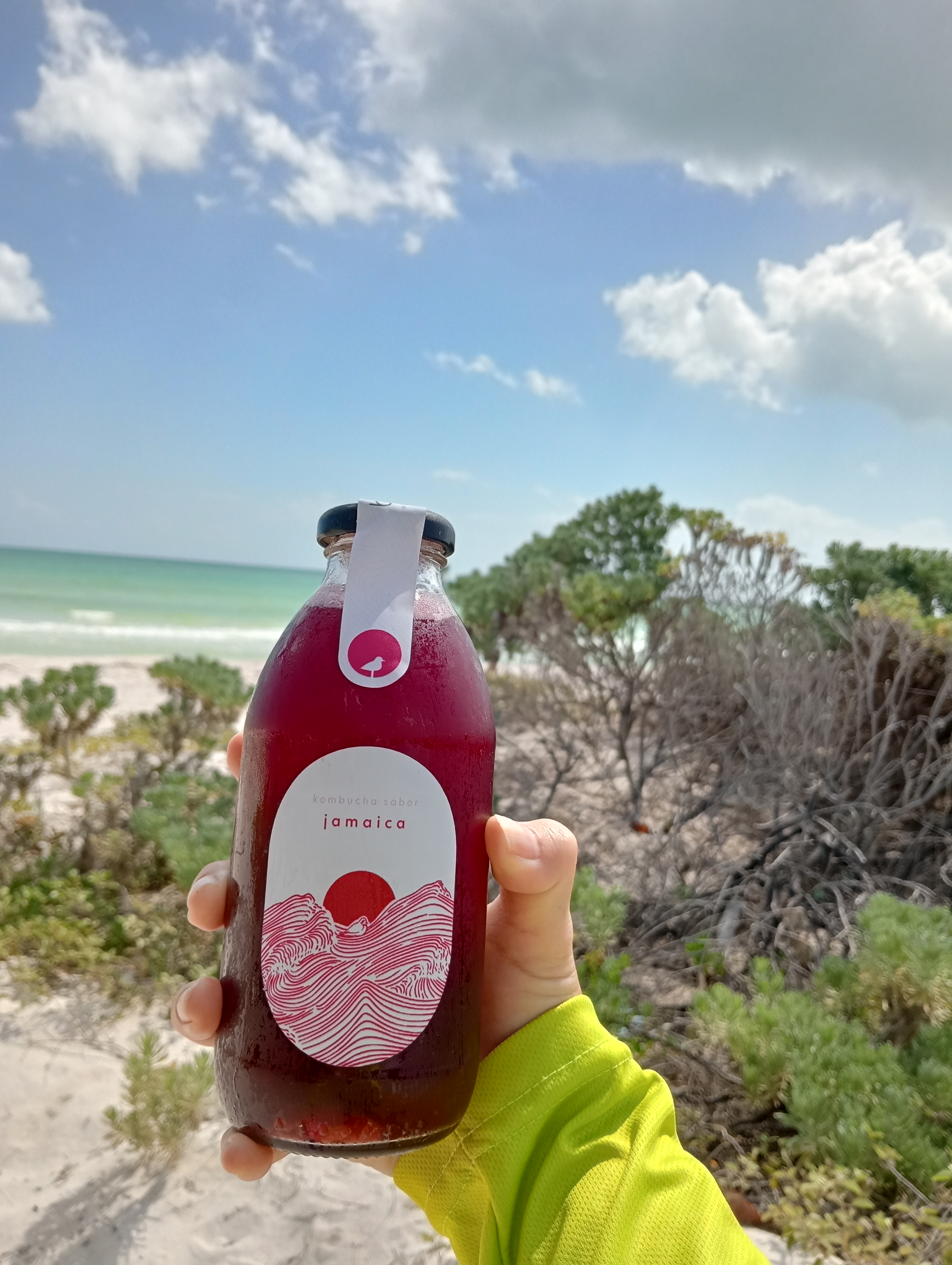 Kombucha Jamaica Cardamomo 