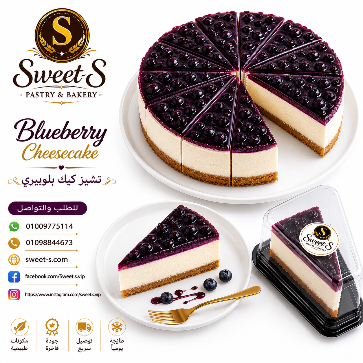 Blueberry Cheesecake