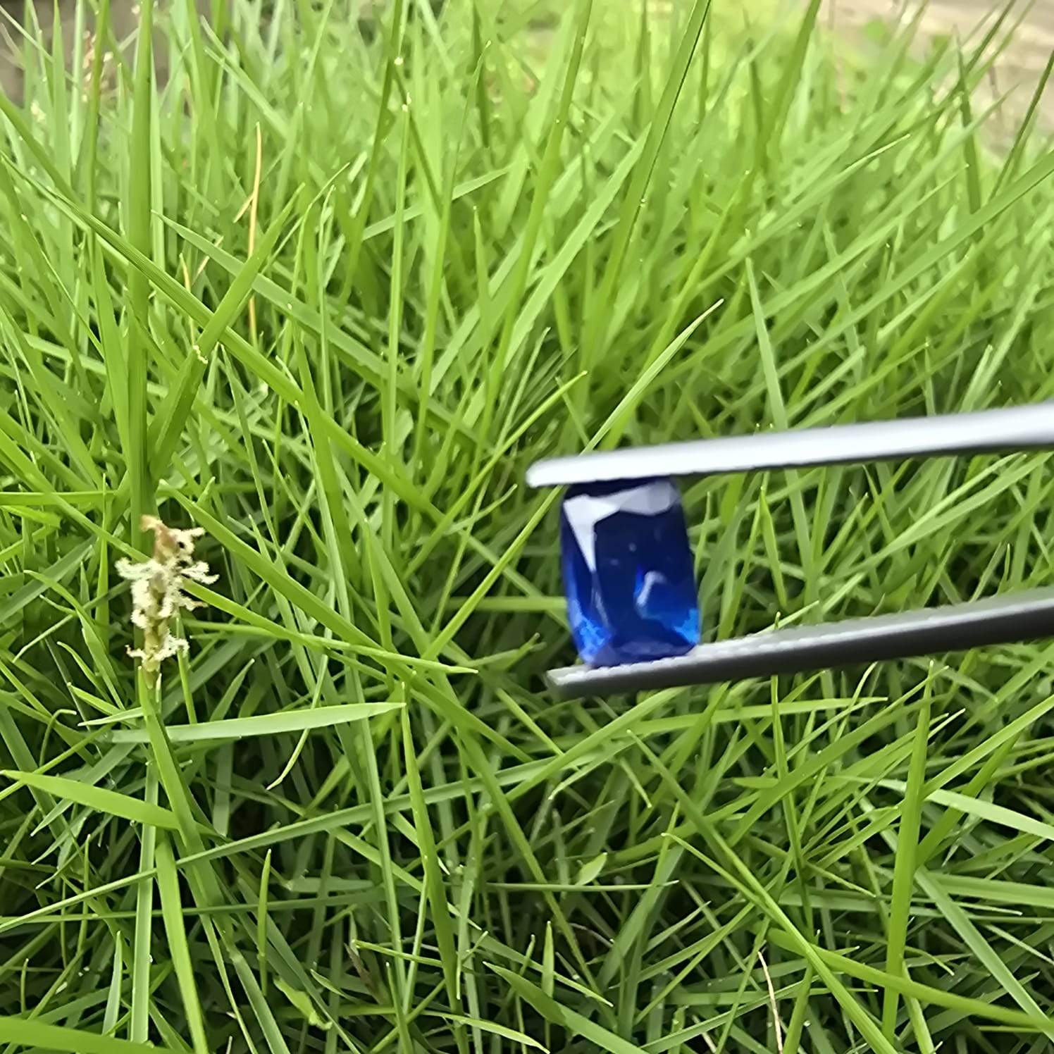 Premium Natural Blue Sapphire