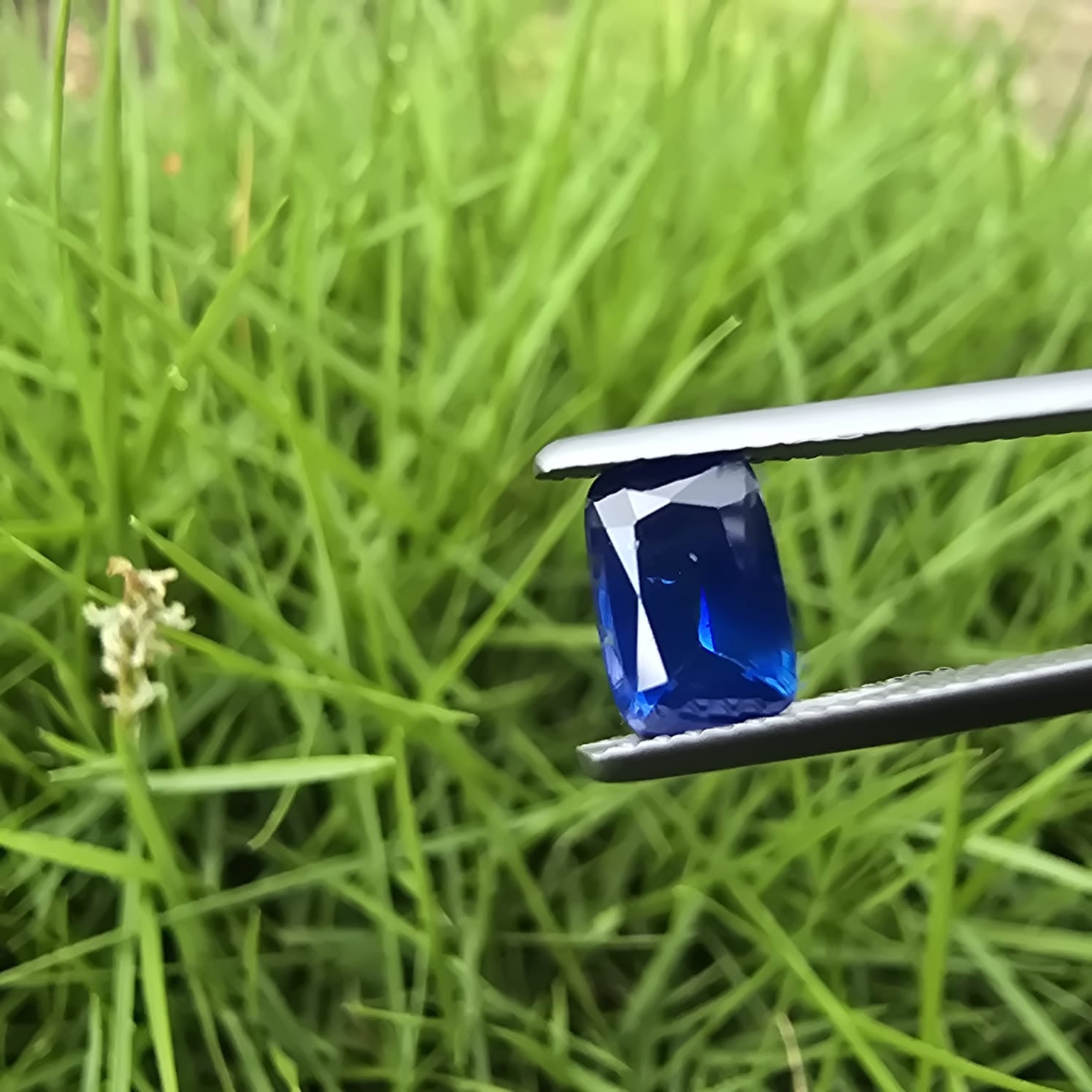 Premium Natural Blue Sapphire