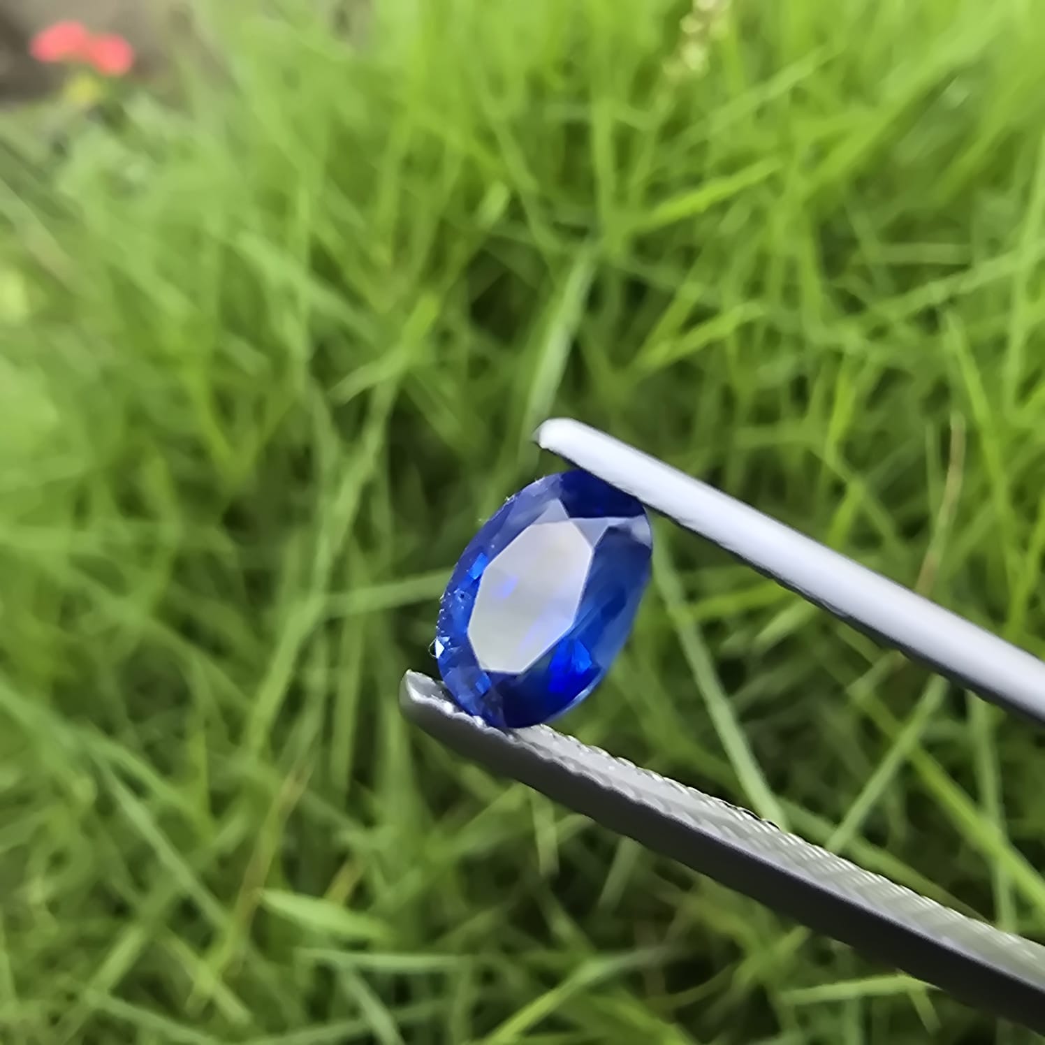 Brilliant Natural Faceted Sapphire