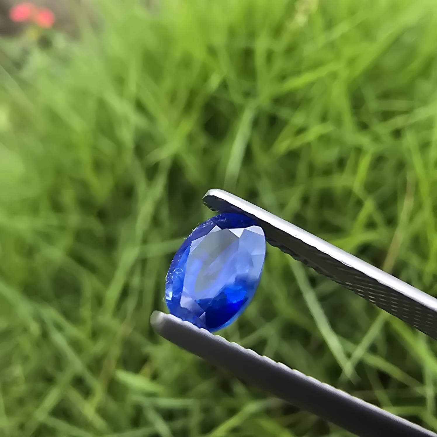 Brilliant Natural Faceted Sapphire