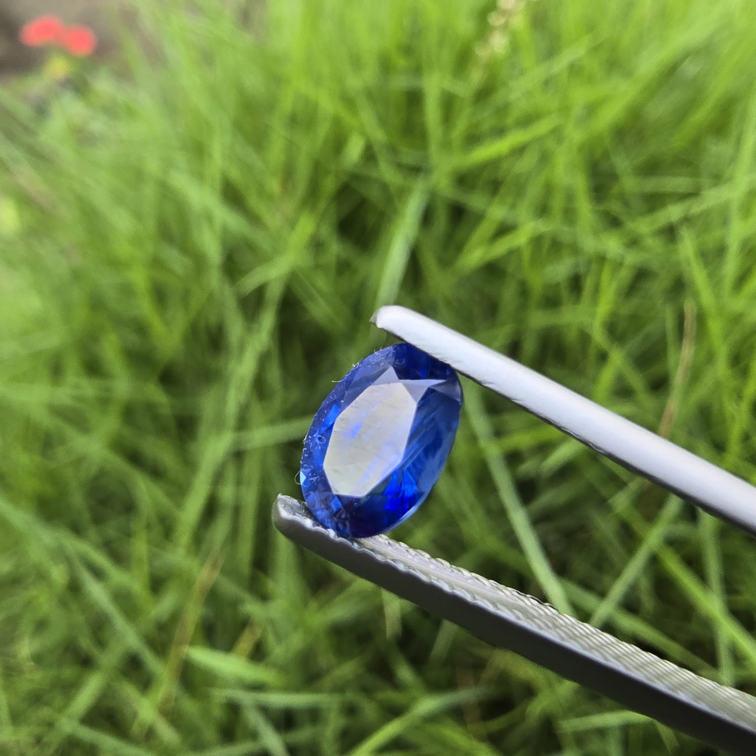 Brilliant Natural Faceted Sapphire