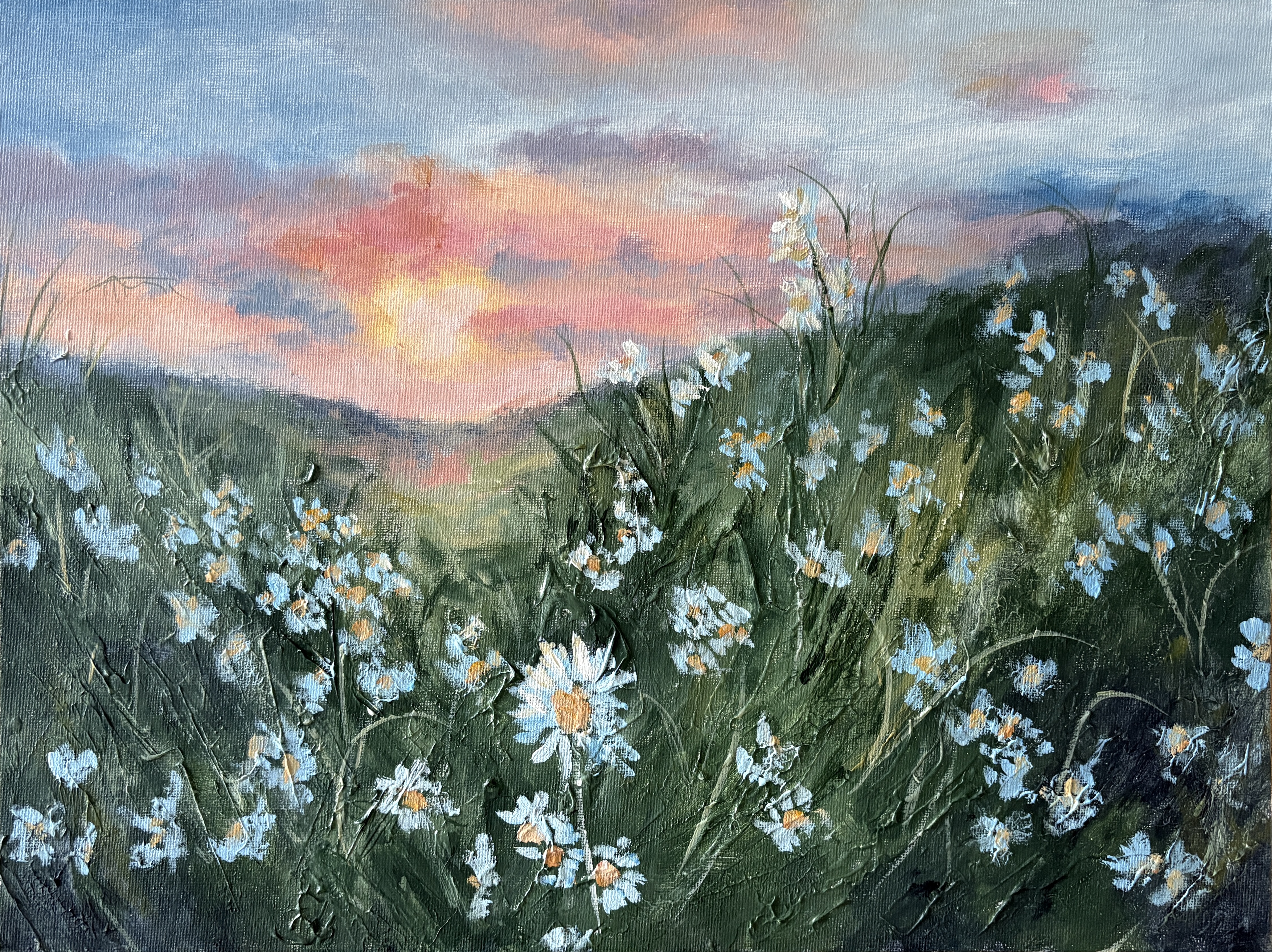 Sunset Daisy Meadow Painting