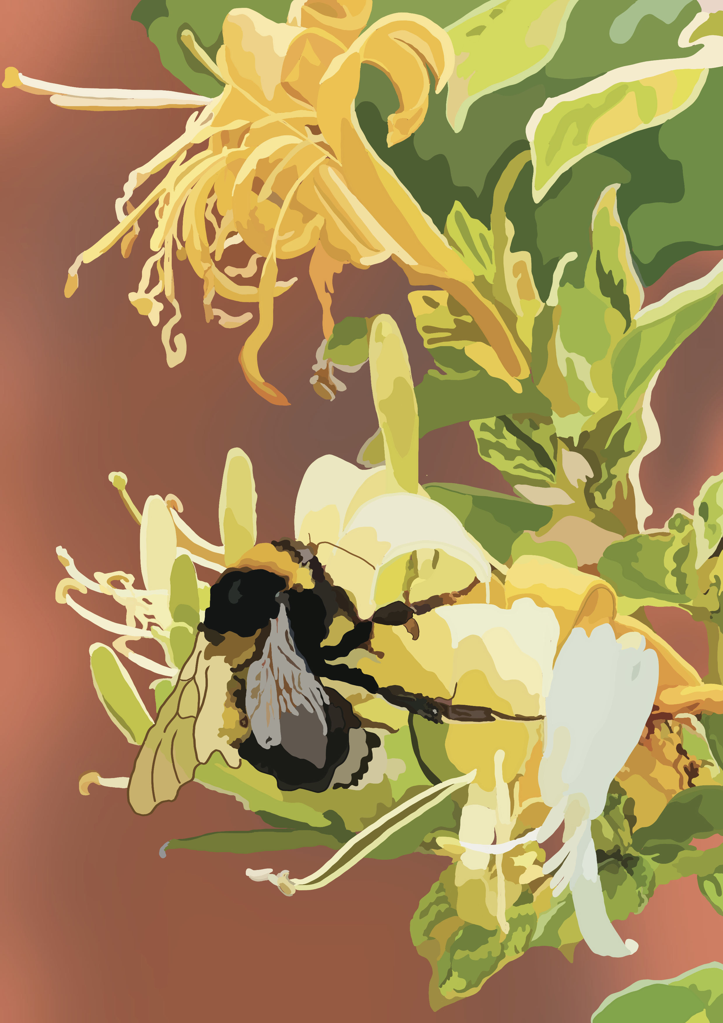Bee and Honeysuckle Print A4