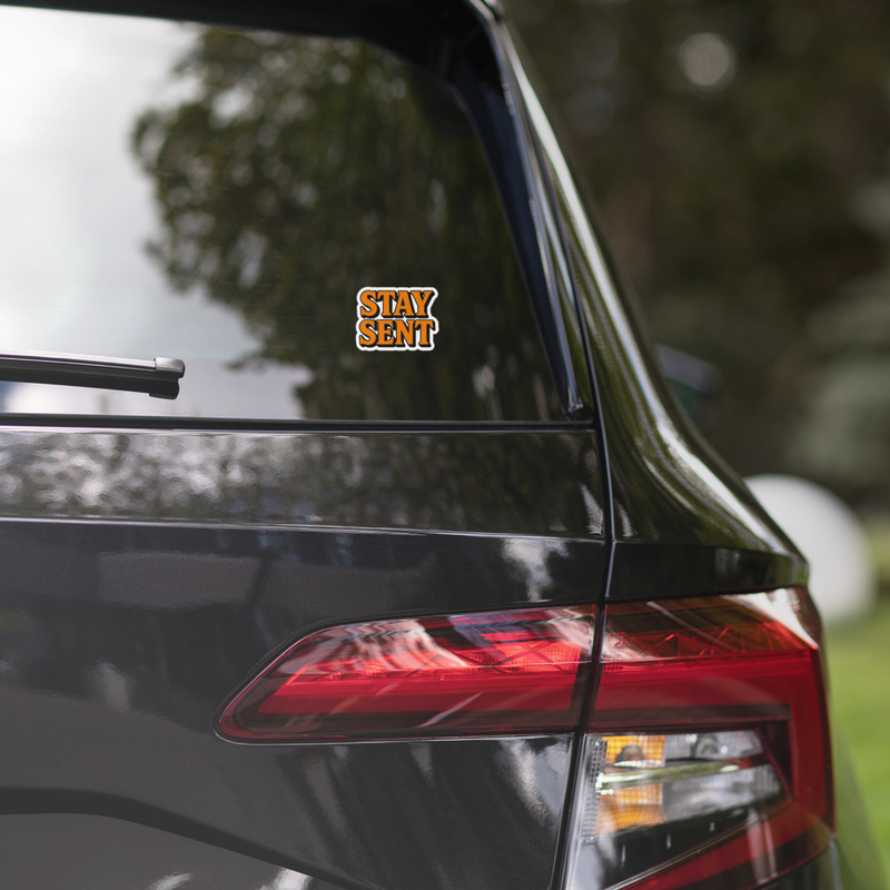 FSC - STAY SENT Stickers 