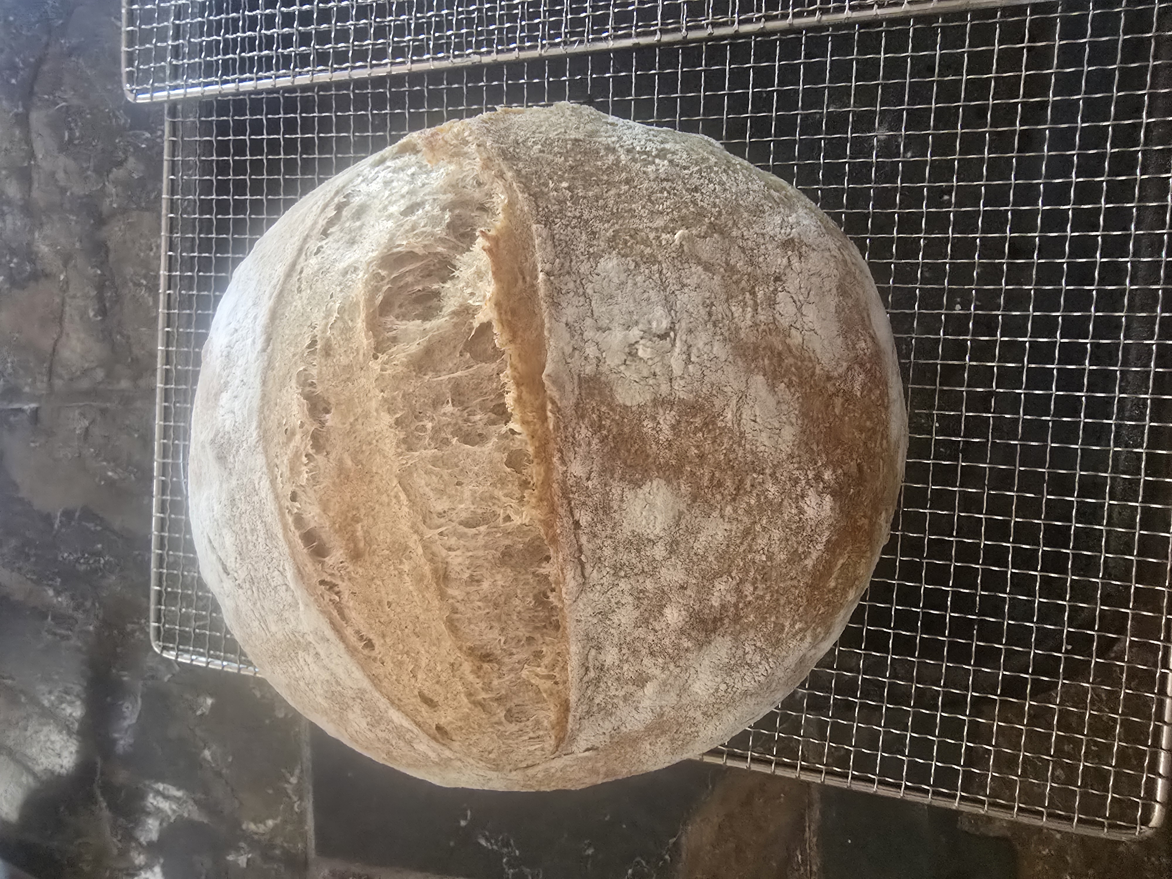 Heritage Whole Wheat Sourdough Boule