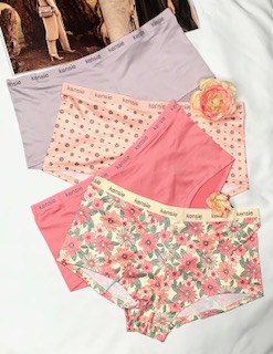 Set de BoyShorts Curvi 4/Pzas