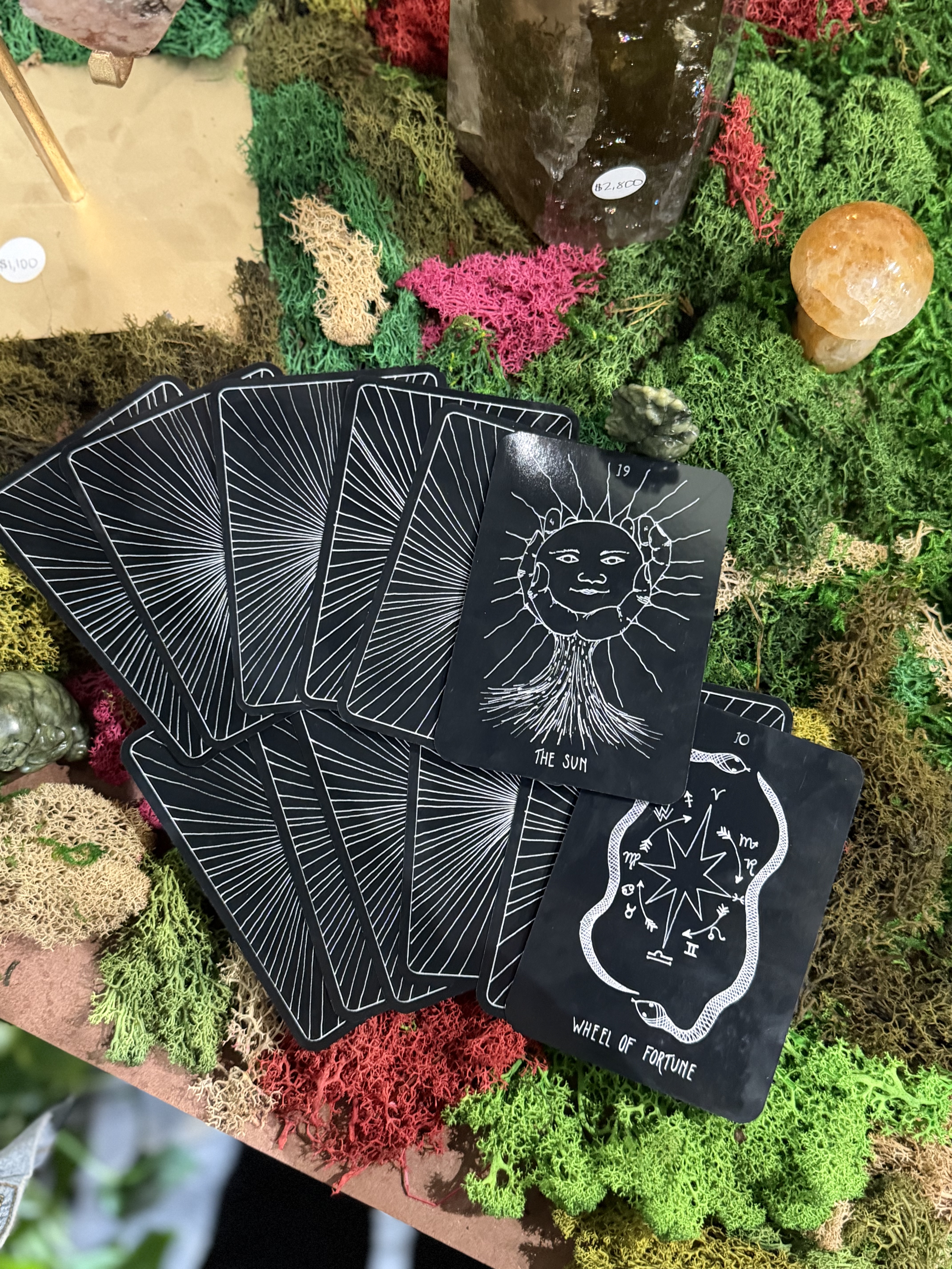 Tarot Reading