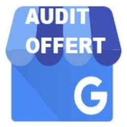 Fiche Google Business Profile: AUDIT OFFERT
