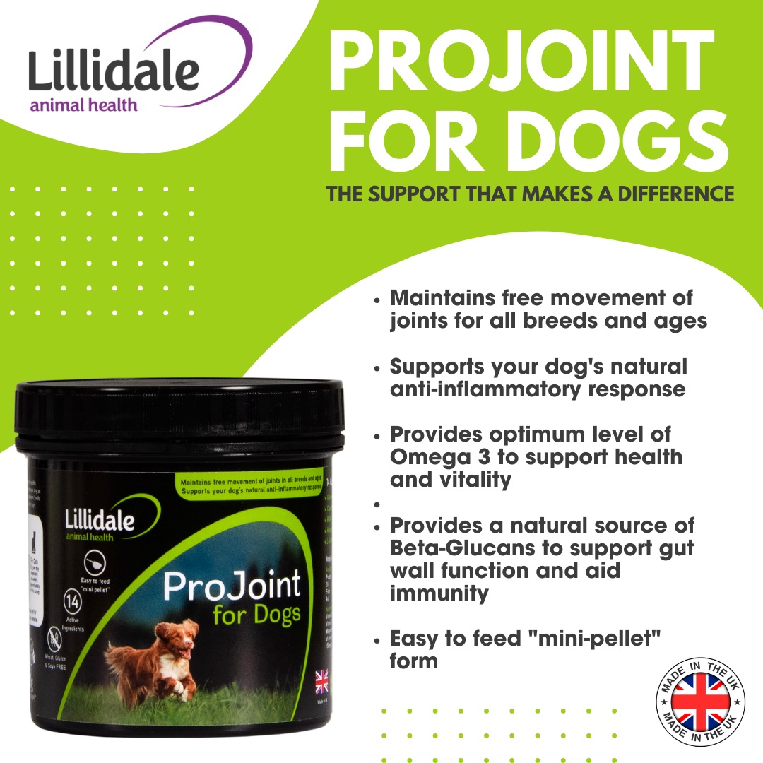 Lillidale ProJoint for Dogs