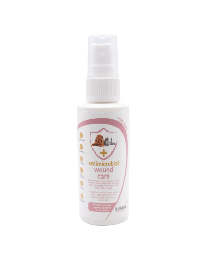Lillidale Antimicrobial Wound Care Spray 65ml