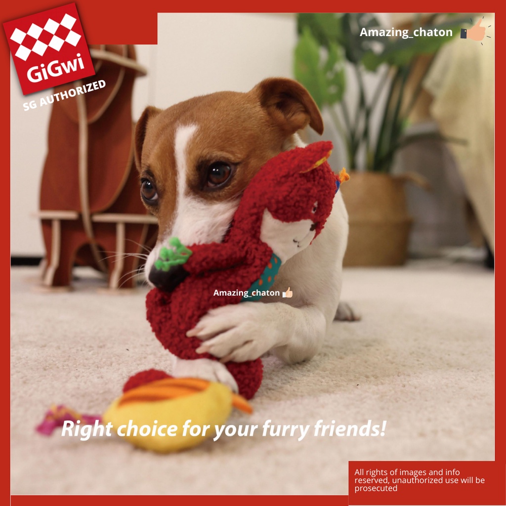 GiGwi Plush Dog Toy - Squirrel
