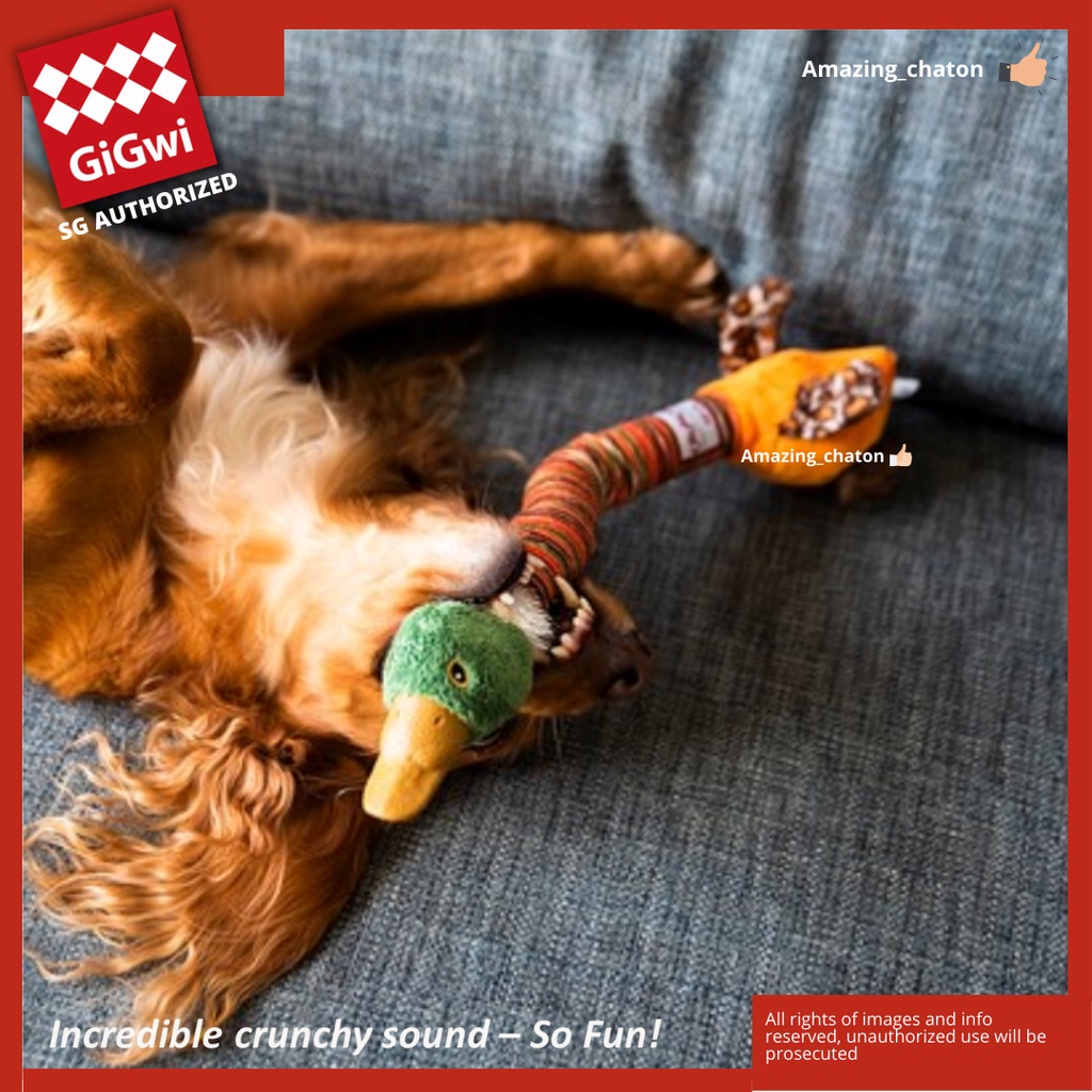 Crunchy Squeaky Dog Toy
