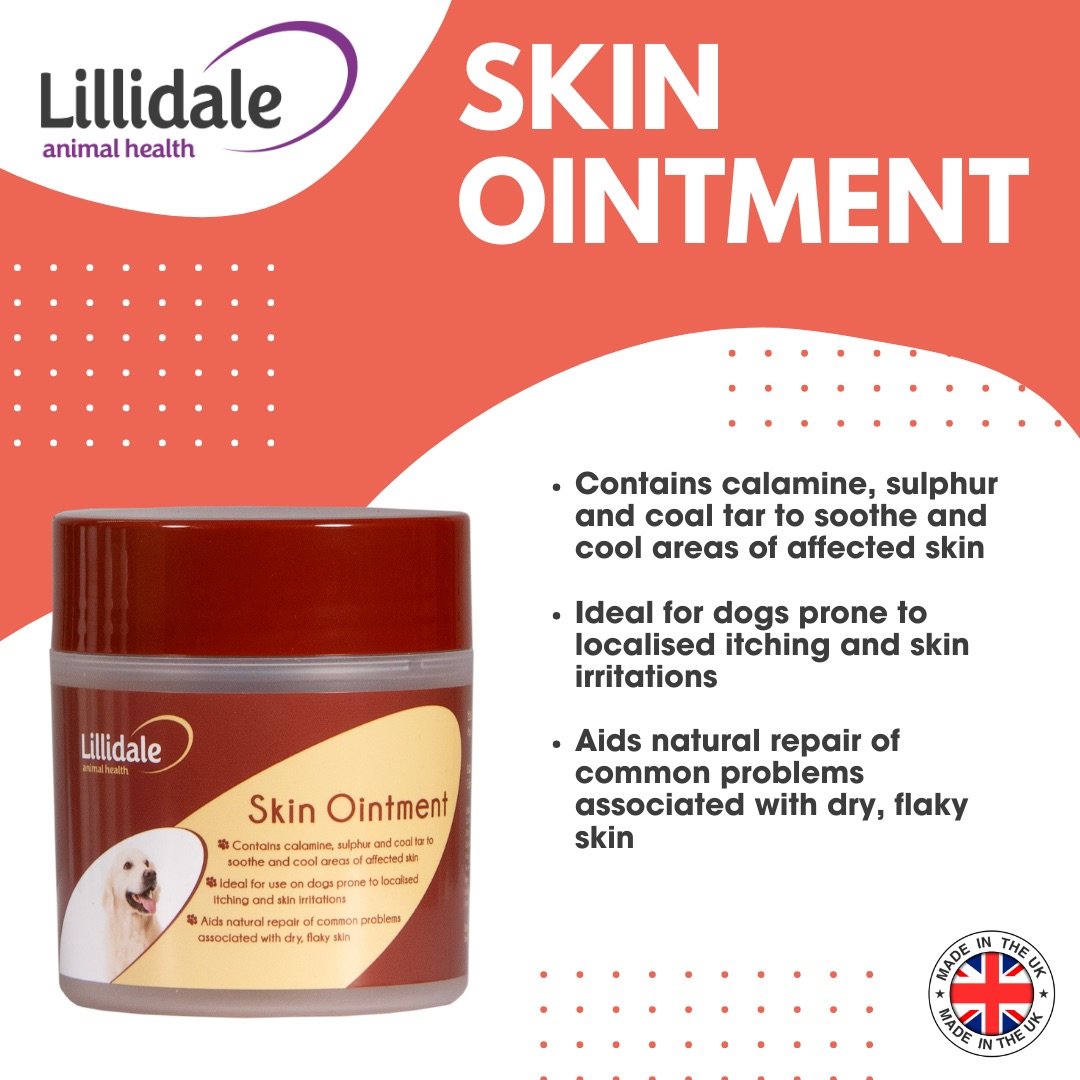 Lillidale Skin Ointment 125g