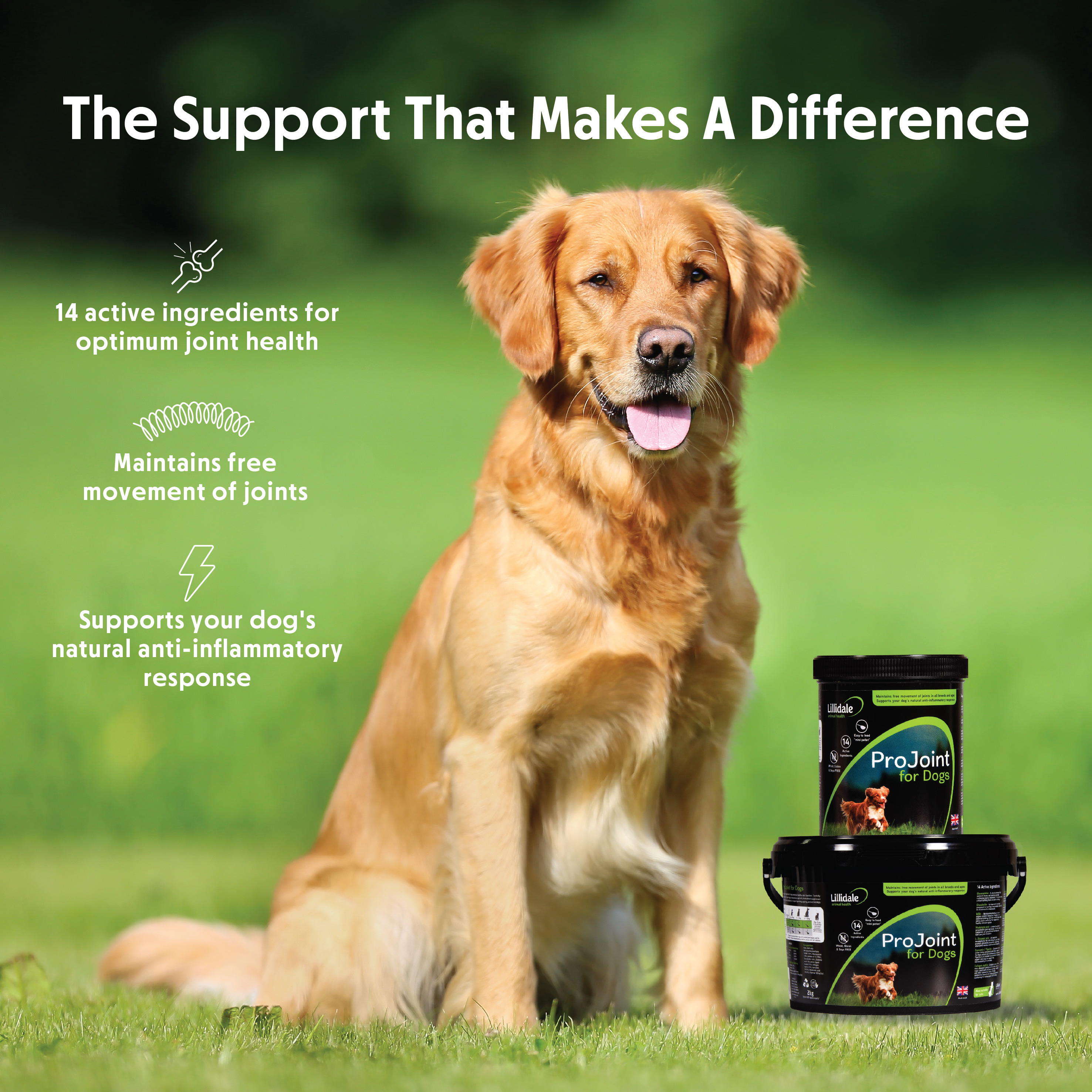 Lillidale ProJoint for Dogs