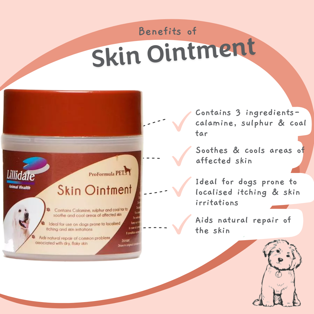 Lillidale Wound Cream 100g