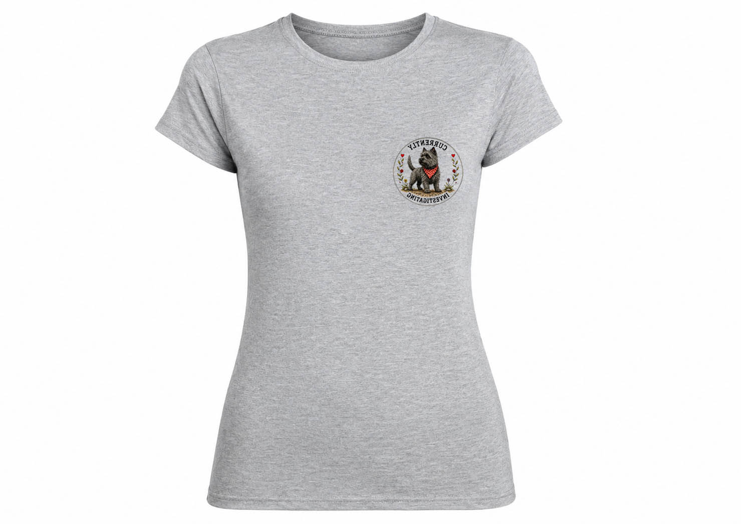 Ladies Softstyle Grey T-Shirt - Choose your Design