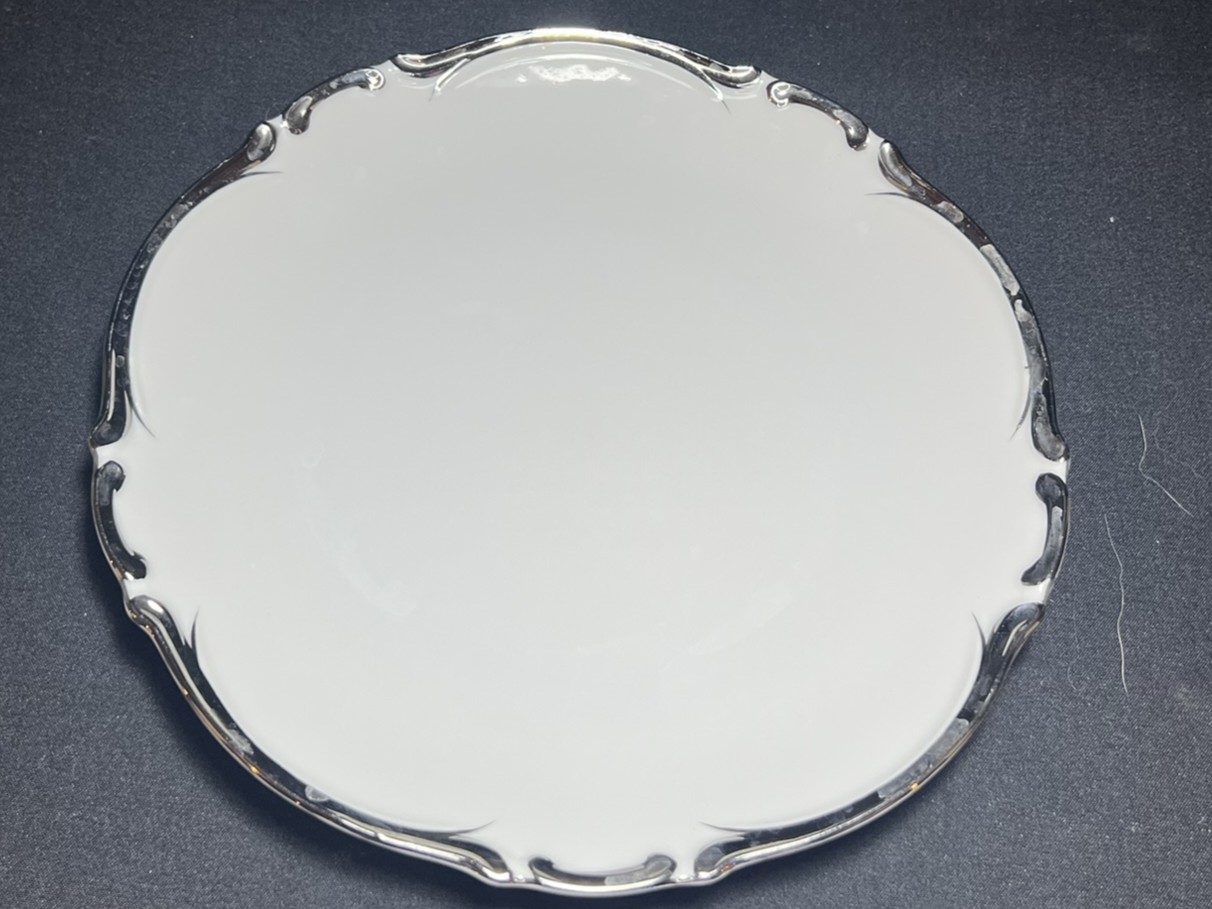 Elegant Porcelain Dinner Plate | PW134