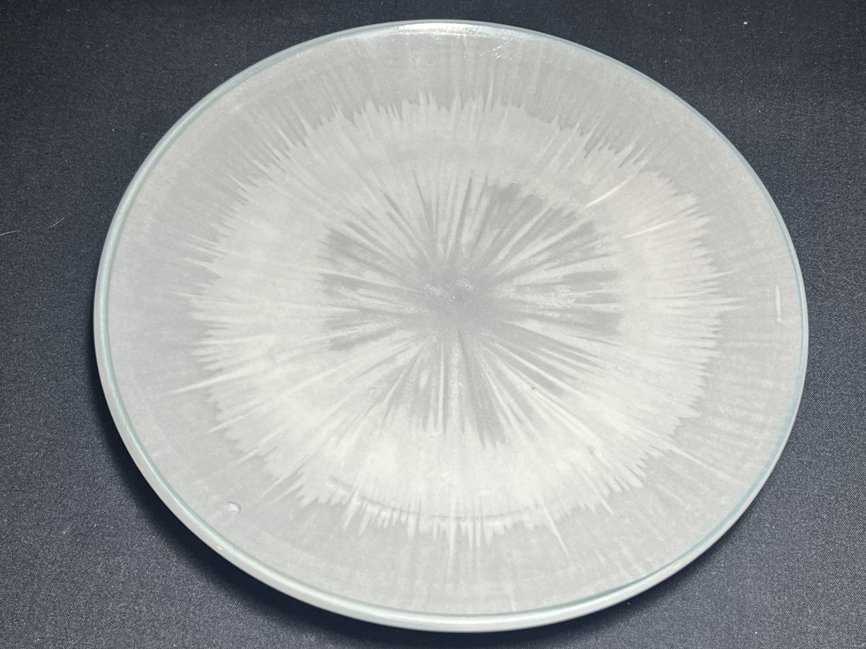 Modern Ceramic Dinner Plate | PC152