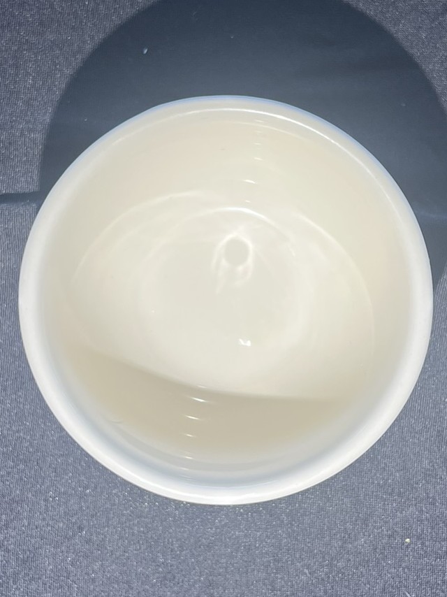 White Ceramic Winter Bowl | H132