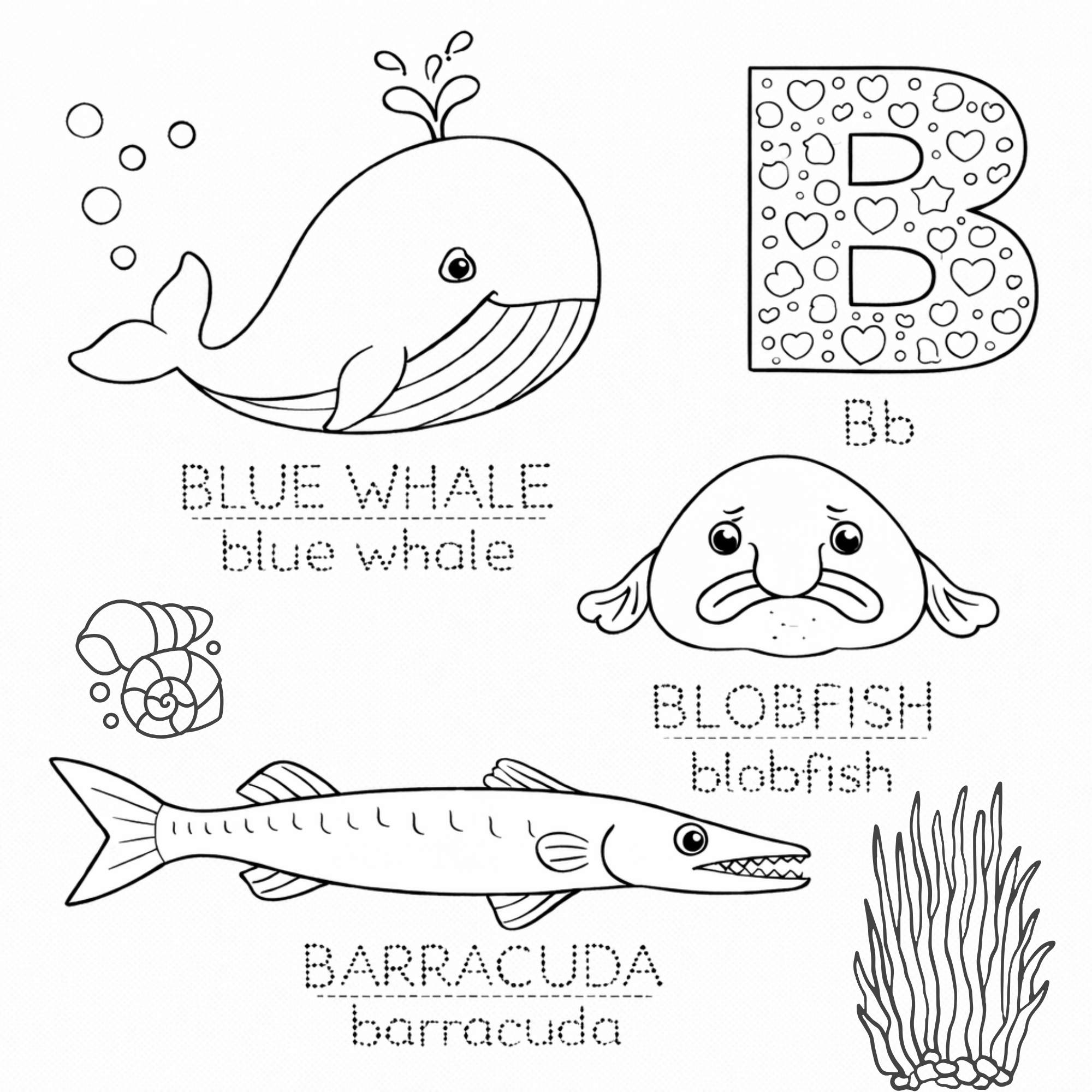 A-Z of Sea Animals Colouring and Tracing Book