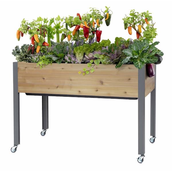 cedarcraft Beautiful. Functional. Sustainable. 21 in. x 47 in. x 32 in. H Self-Watering Cedar Planter