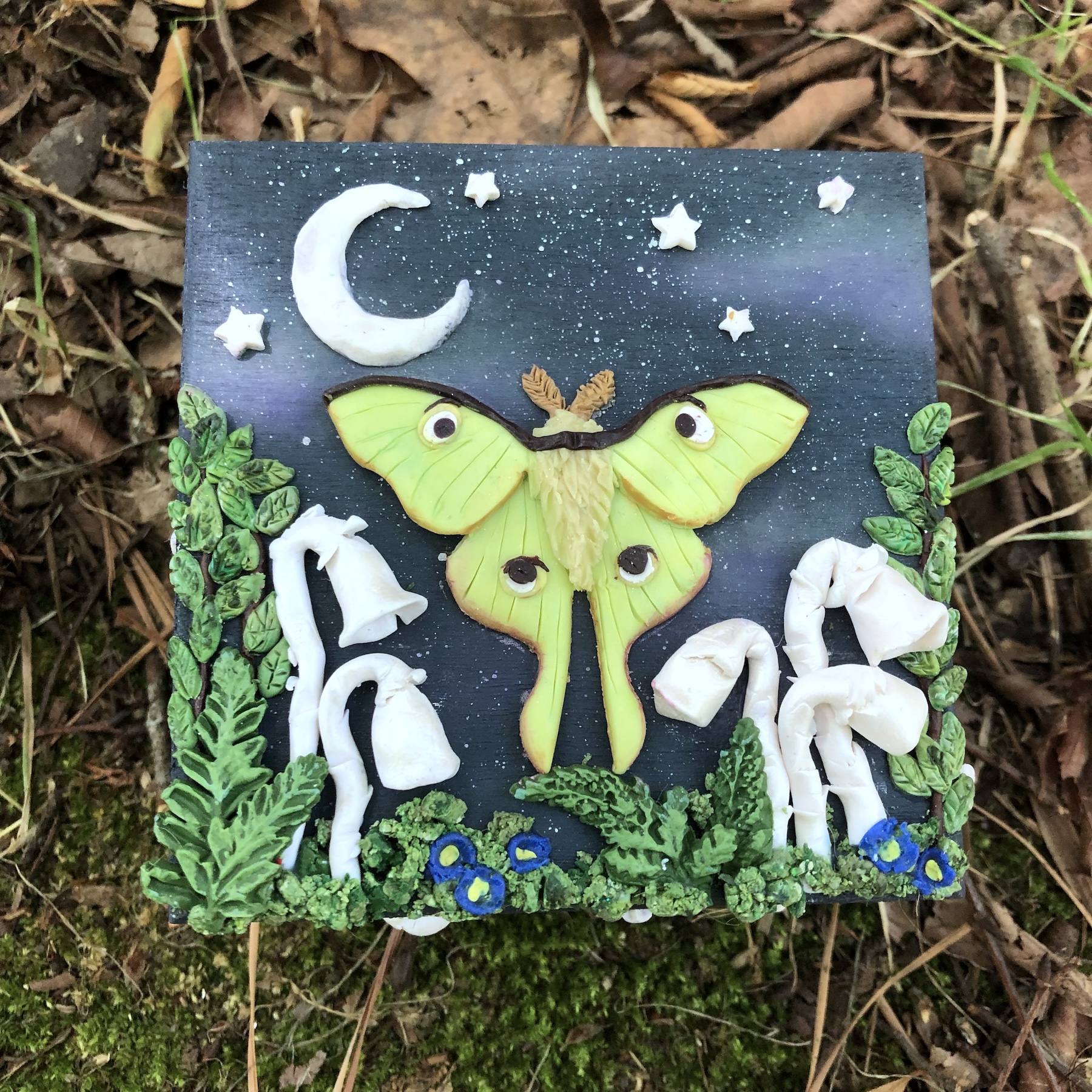 Luna Moth & Ghost Pipe Mushroom Forest Trinket Box