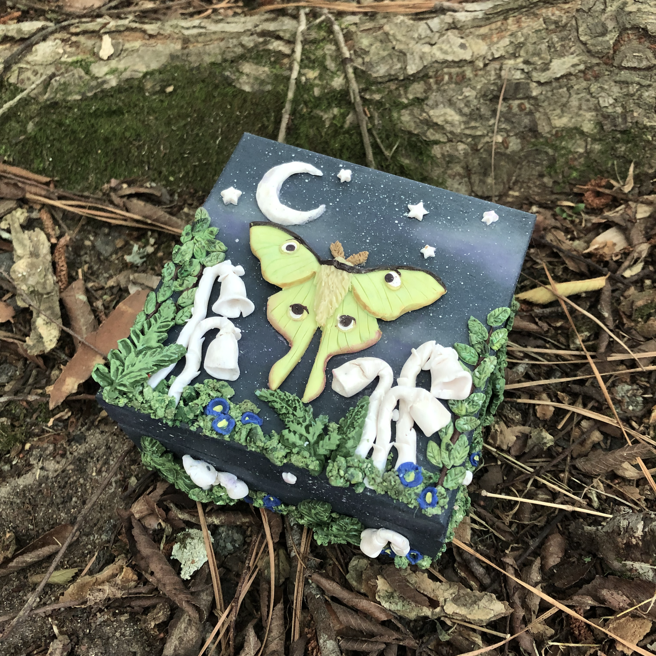Luna Moth & Ghost Pipe Mushroom Forest Trinket Box