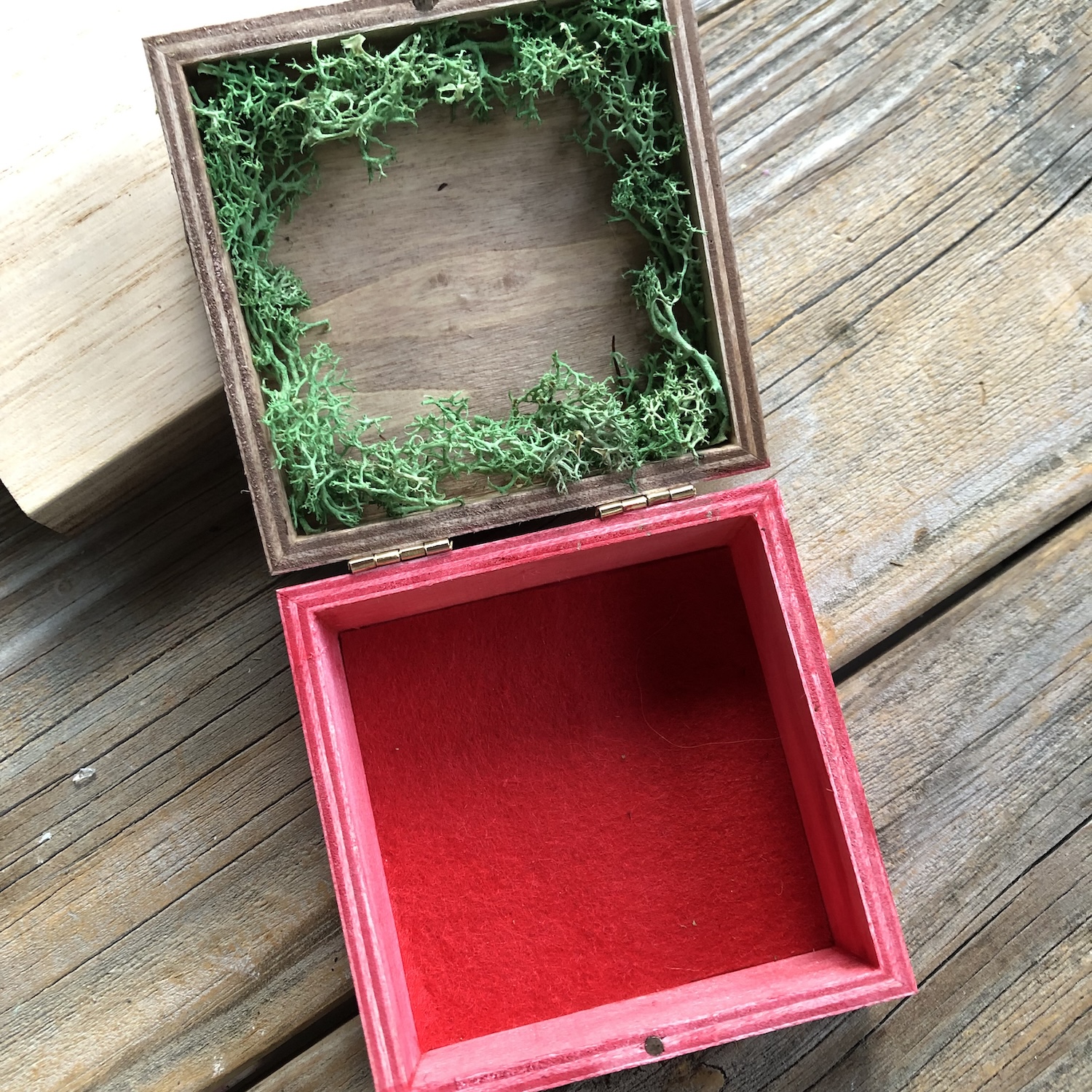 Handcrafted Amanita Mushroom Treasure Box 