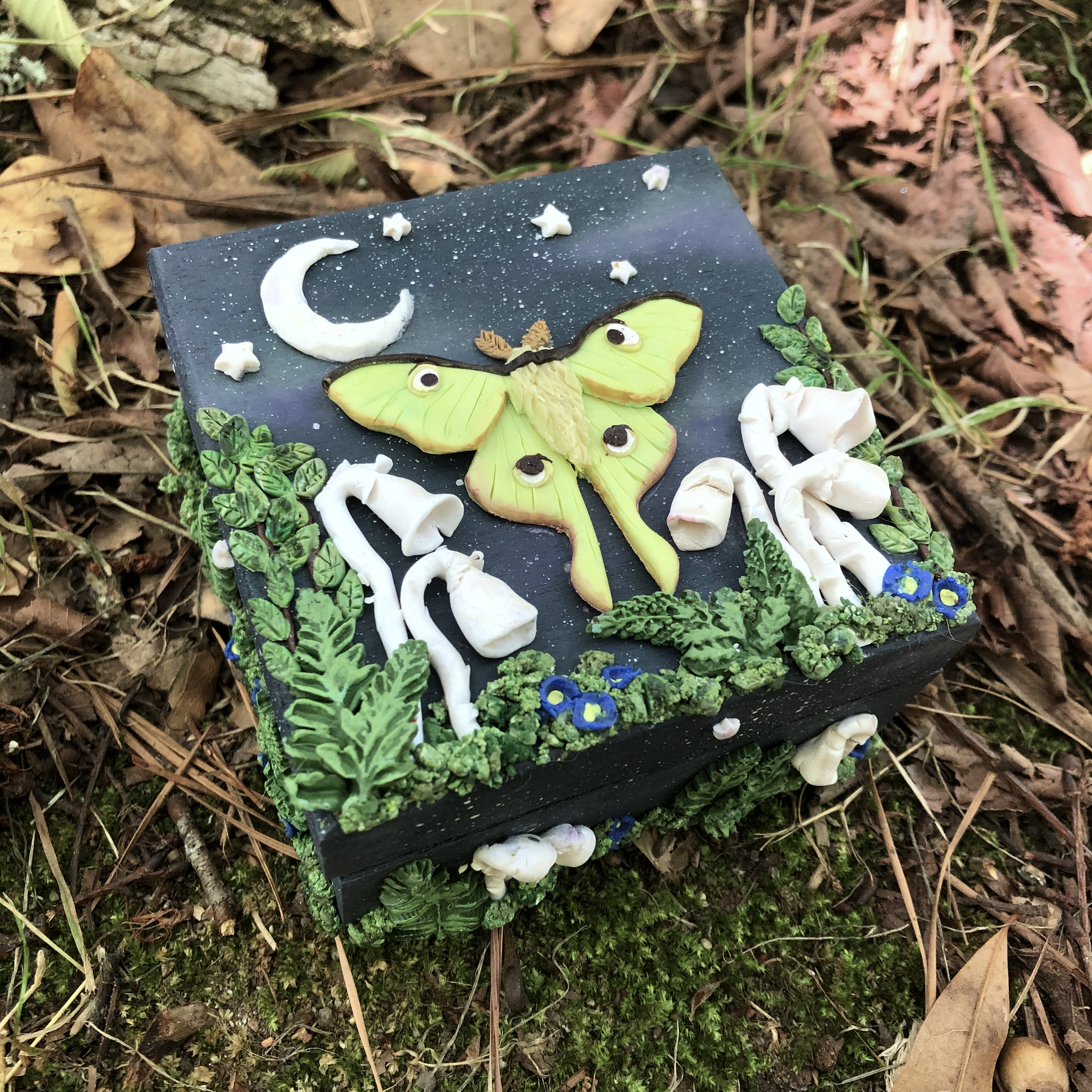 Luna Moth & Ghost Pipe Mushroom Forest Trinket Box