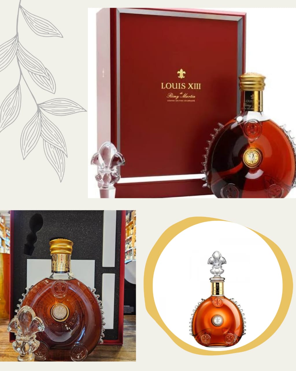 REMY MARTIN LOUIS XIII COGNAC